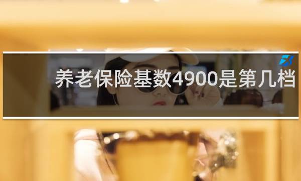 养老保险基数4900是第几档图片