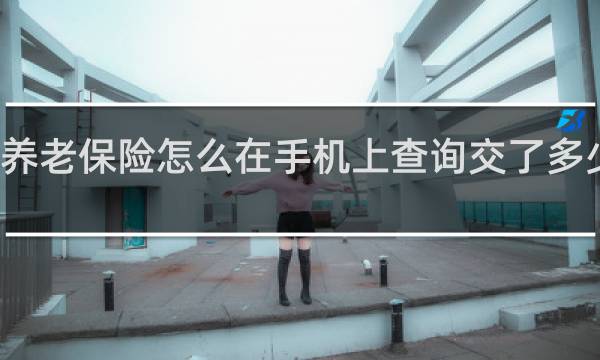 养老保险怎么在手机上查询交了多少年了