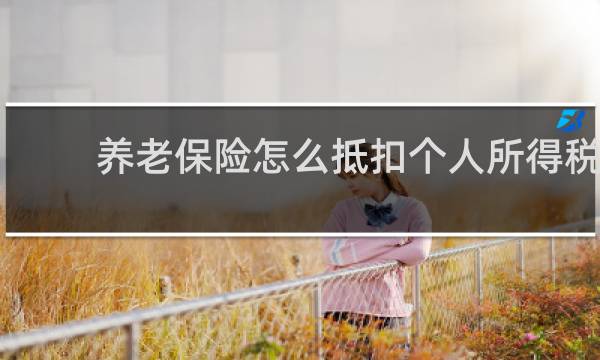 养老保险怎么抵扣个人所得税