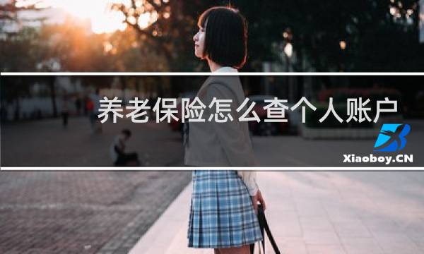 养老保险怎么查个人账户