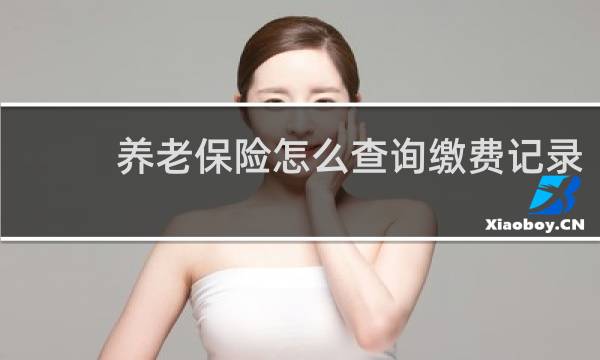 养老保险怎么查询缴费记录