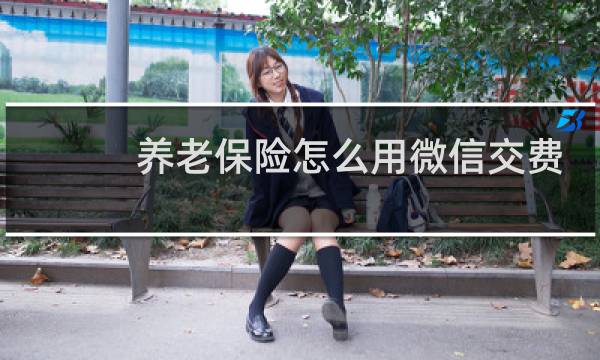 养老保险怎么用微信交费图片