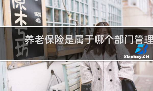 养老保险是属于哪个部门管理