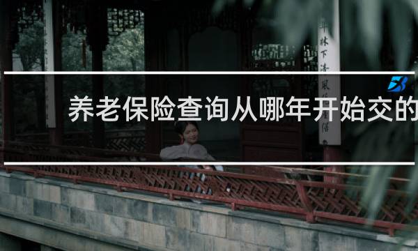 养老保险查询从哪年开始交的