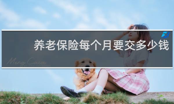 养老保险每个月要交多少钱