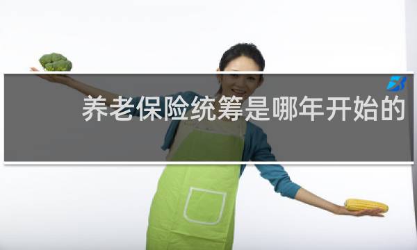 养老保险统筹是哪年开始的