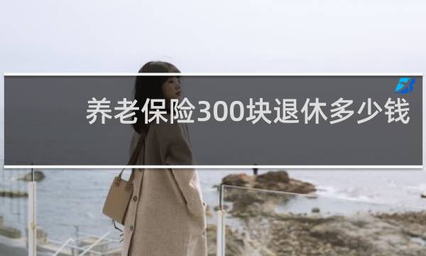 养老保险300块退休多少钱图片