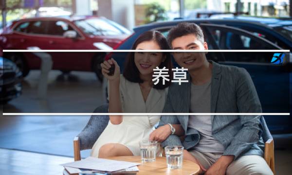 养草 养草什么梗