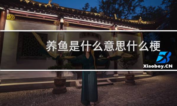 养鱼是什么意思什么梗