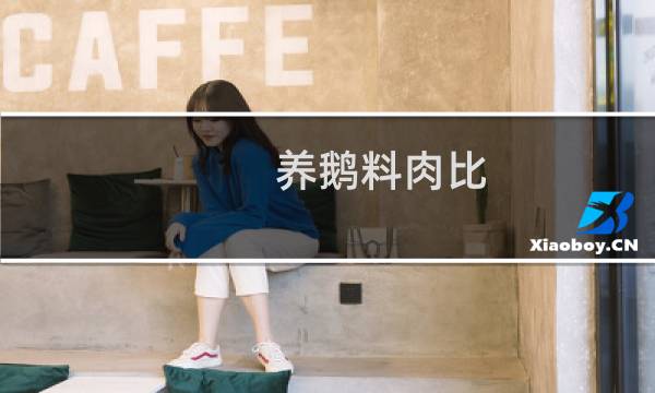 养鹅料肉比图片