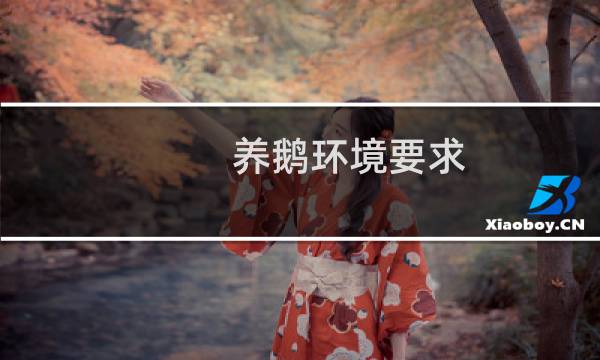 养鹅环境要求