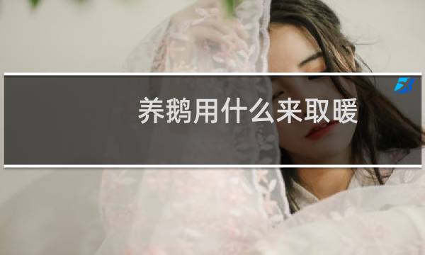 养鹅用什么来取暖