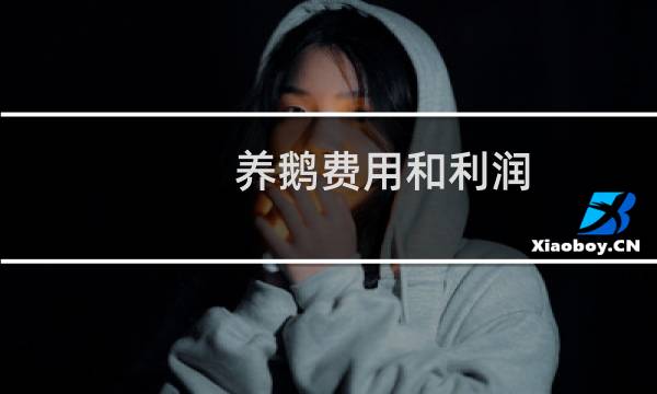 养鹅费用和利润