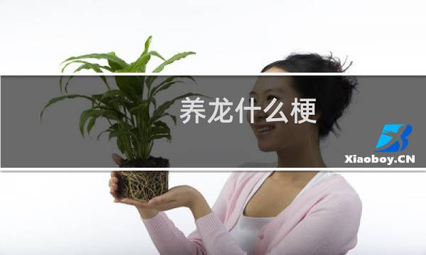 养龙什么梗