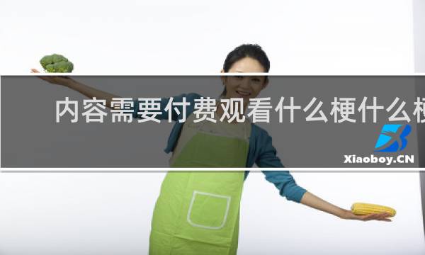 内容需要付费观看什么梗什么梗