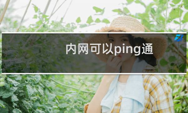 内网可以ping通,但是打不开内网地址
