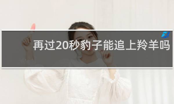 再过20秒豹子能追上羚羊吗