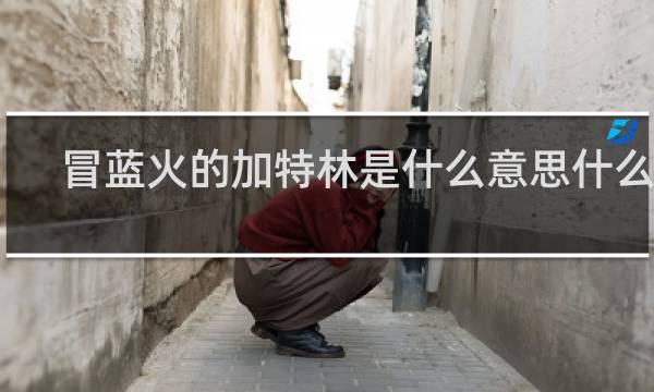 冒蓝火的加特林是什么意思什么梗