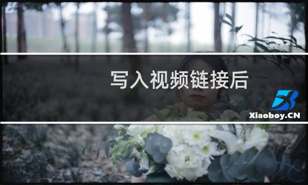 写入视频链接后,页面打开无法播放,