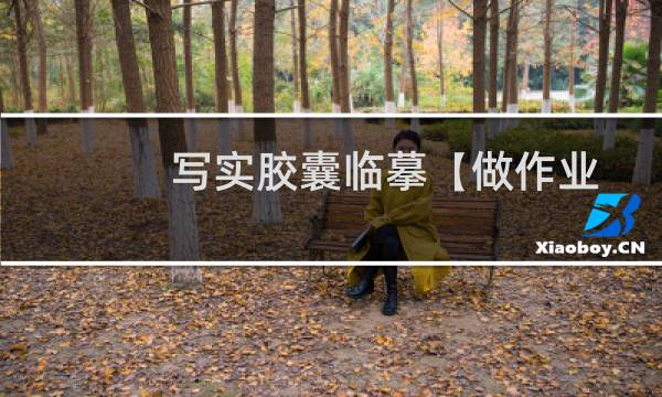 写实胶囊临摹【做作业】