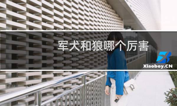 军犬和狼哪个厉害