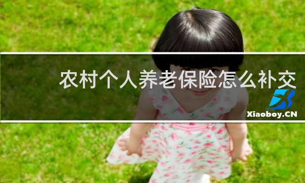 农村个人养老保险怎么补交