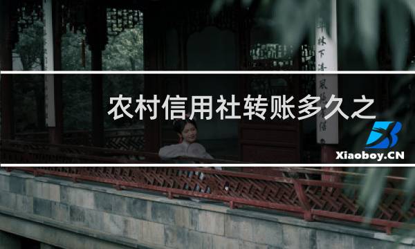 农村信用社转账多久之后到账（农村信用社转账多久到账）