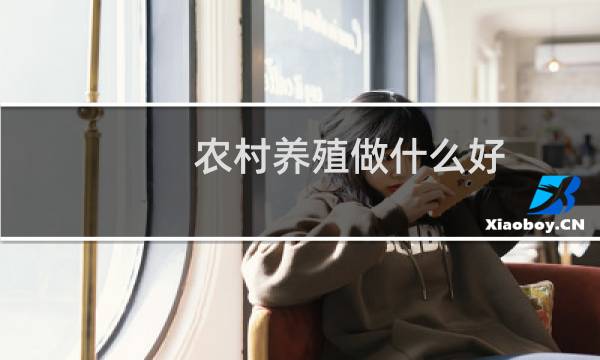 农村养殖做什么好