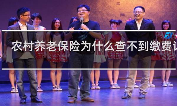 农村养老保险为什么查不到缴费记录图片