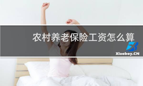农村养老保险工资怎么算
