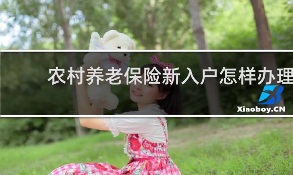 农村养老保险新入户怎样办理