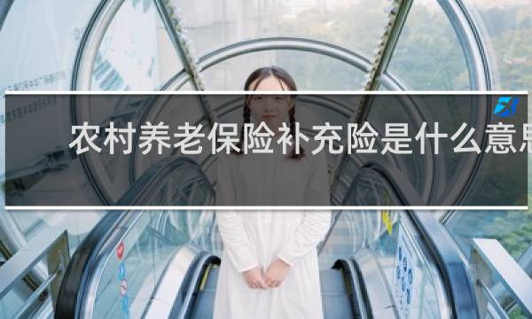 农村养老保险补充险是什么意思