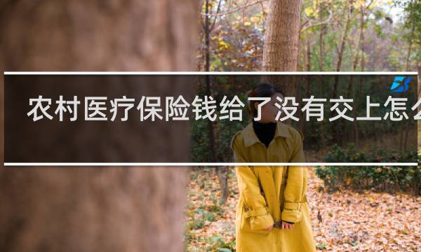 农村医疗保险钱给了没有交上怎么办