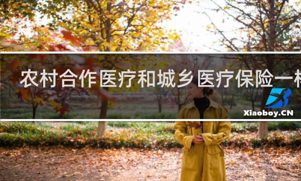 农村合作医疗和城乡医疗保险一样吗
