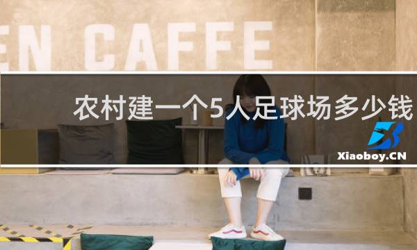 农村建一个5人足球场多少钱