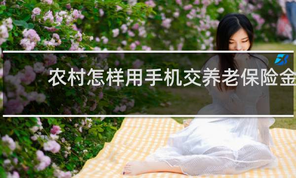 农村怎样用手机交养老保险金