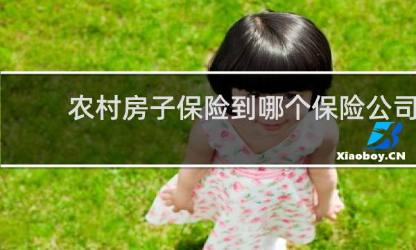 农村房子保险到哪个保险公司图片