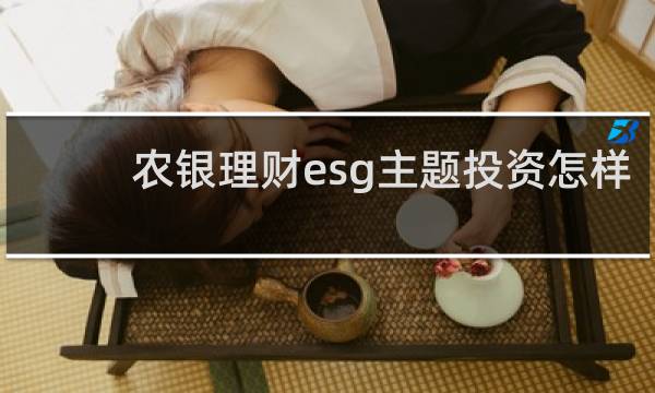 农银理财esg主题投资怎样