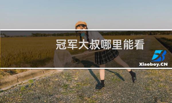冠军大叔哪里能看