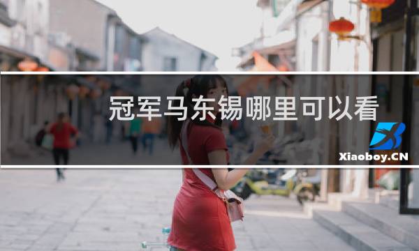 冠军马东锡哪里可以看