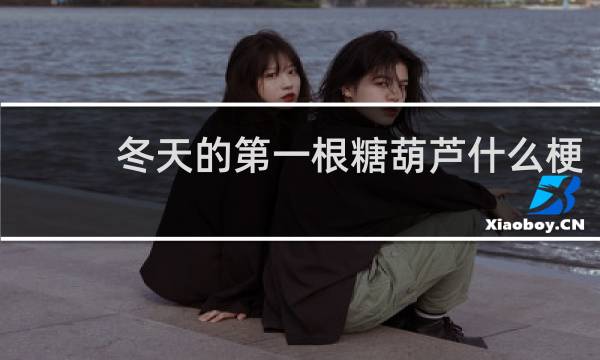 冬天的第一根糖葫芦什么梗？什么梗