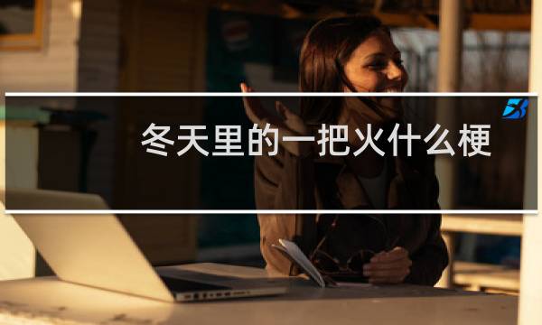 冬天里的一把火什么梗