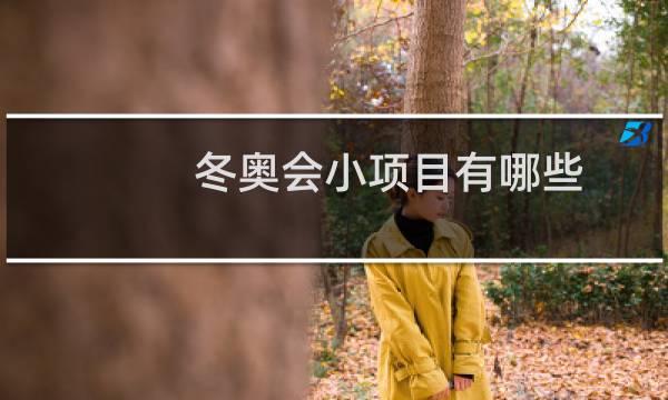 冬奥会小项目有哪些