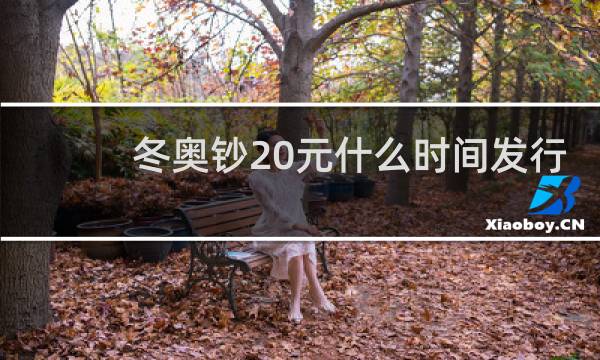 冬奥钞20元什么时间发行
