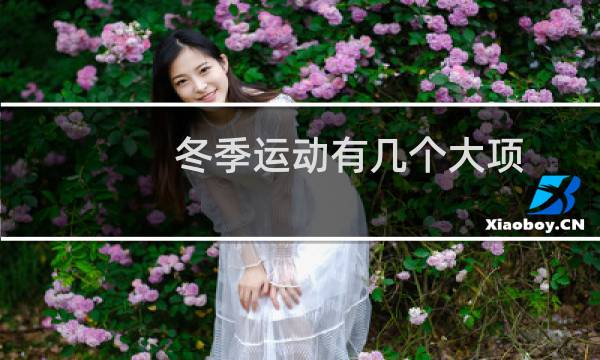 冬季运动有几个大项