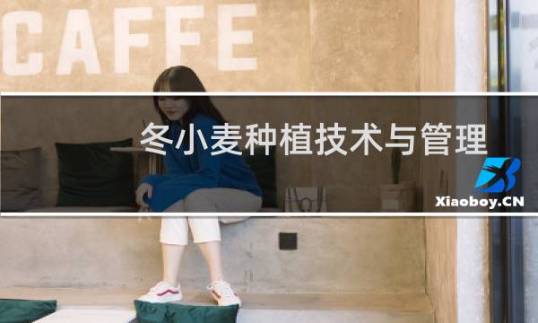 冬小麦种植技术与管理施肥（冬小麦）