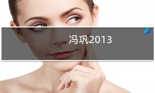 冯巩2013