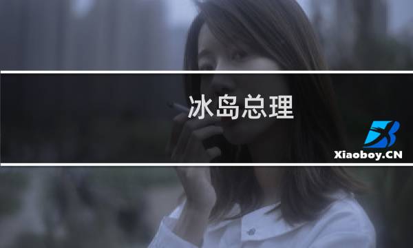 冰岛总理