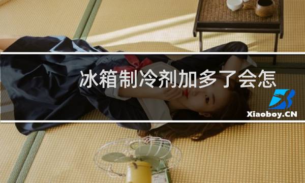 冰箱制冷剂加多了会怎样（冰箱制冷剂）图片