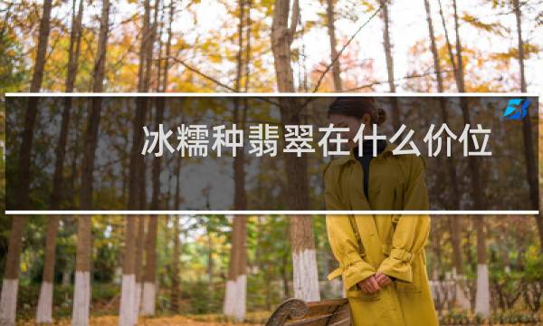冰糯种翡翠在什么价位